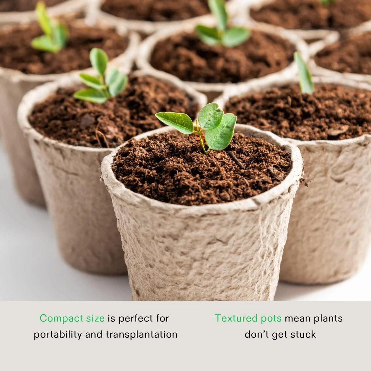 Textured biodegradable paper pots filled with soil and small green seedlings, shown in a clean studio-style arrangement with marketing text at the bottom.