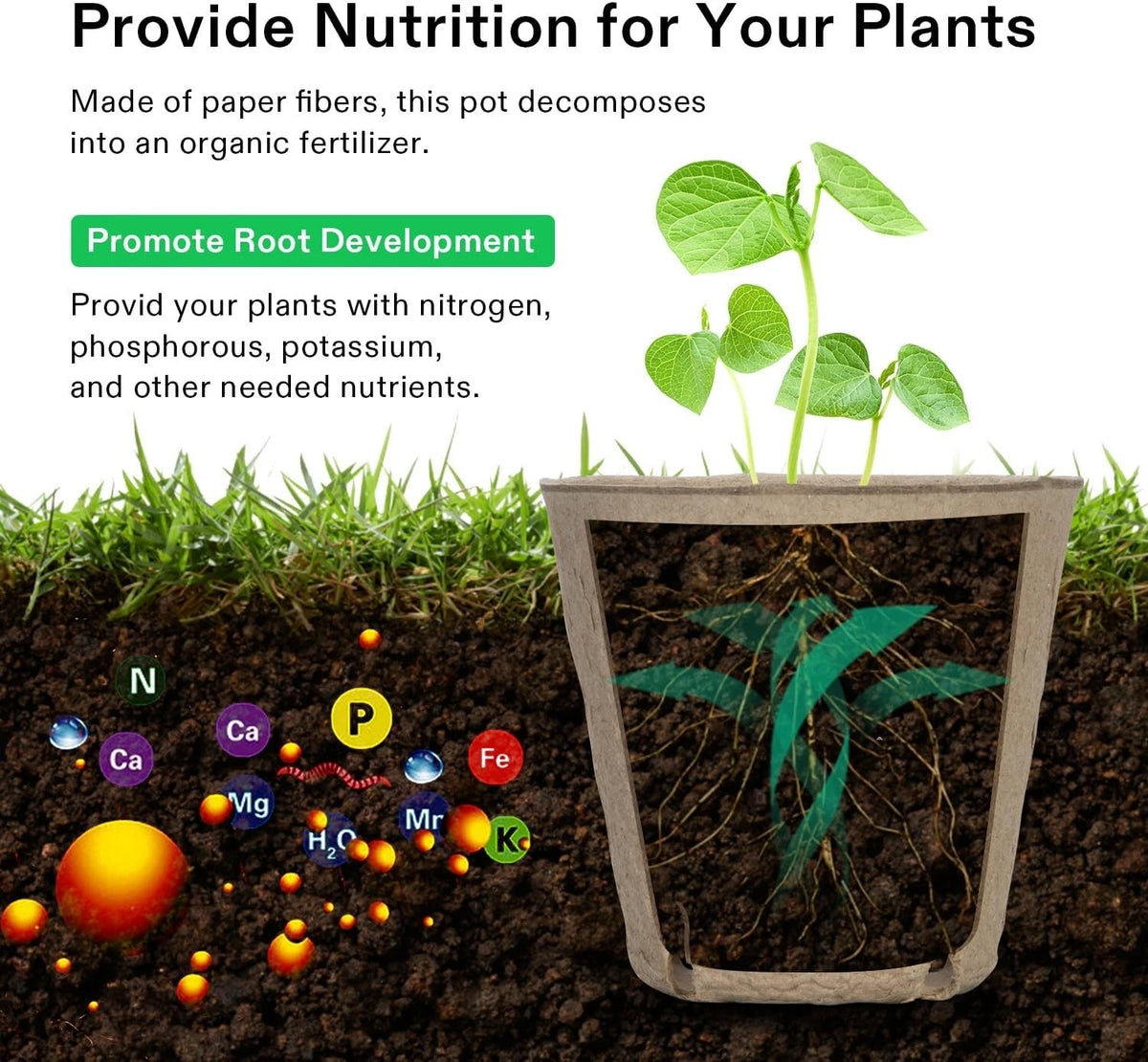 A paper fiber plant pot shown on a white background with marketing text about providing nutrition for plants and promoting root development. The lower half includes a soil cross-section illustration with plant roots, green leaves, and nutrient symbols.