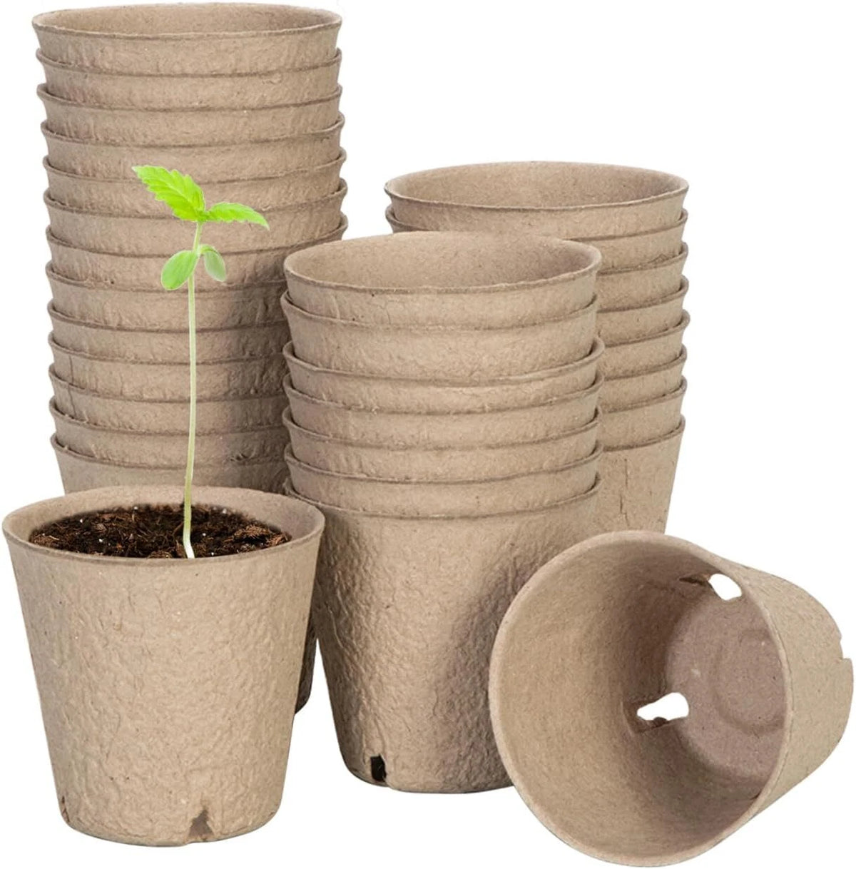 A set of VIVOSUN biodegradable paper seed starter pots in natural brown kraft fiber, including stacks of empty pots, one pot with a small green seedling, and one pot shown upside down to display the drainage hole.