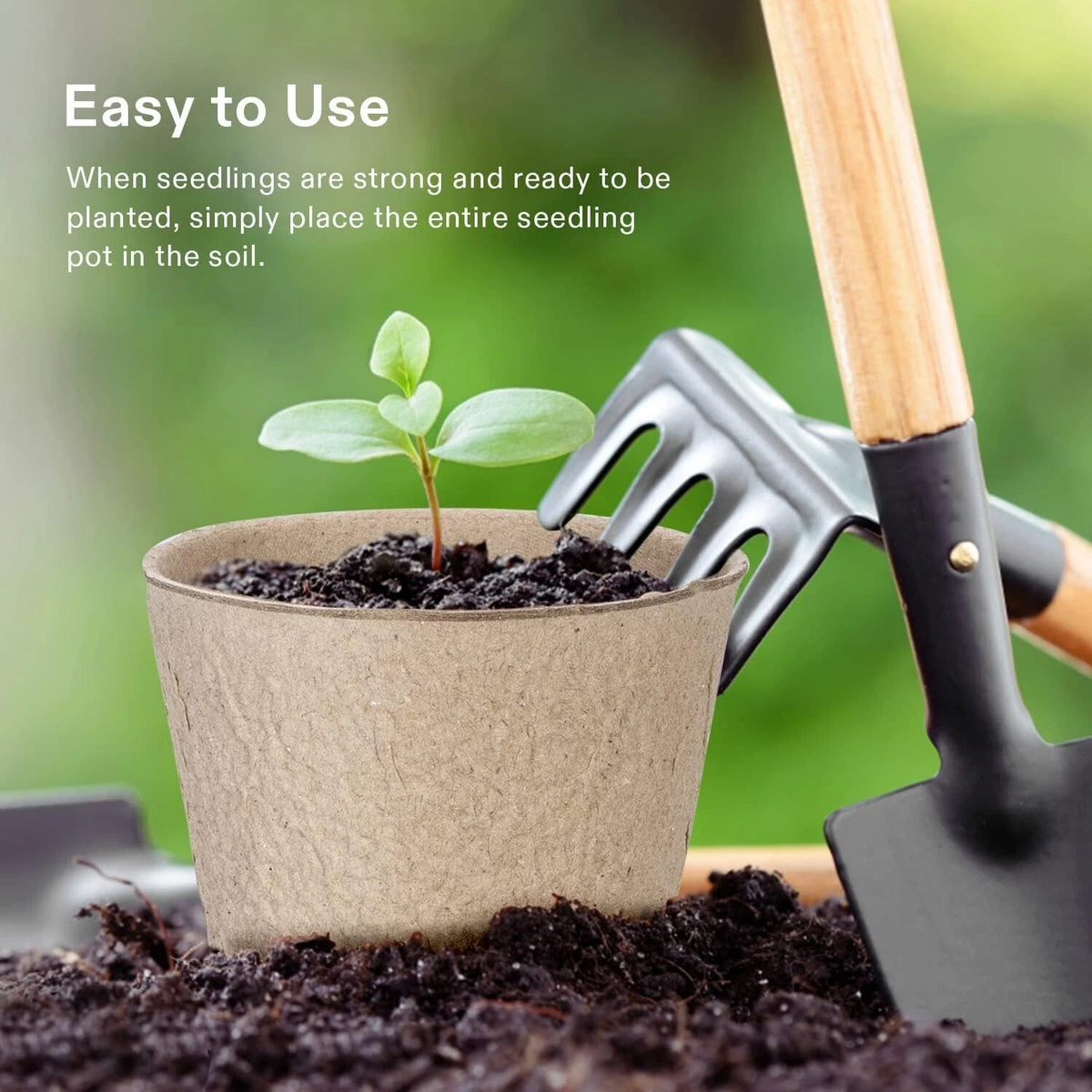 Seedling in a biodegradable pot with gardening tools on a green background