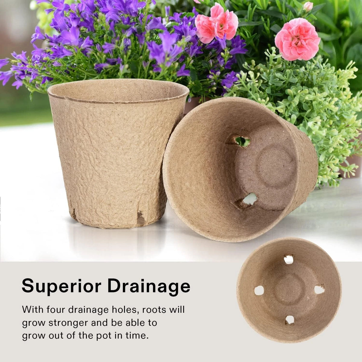 Biodegradable pots with drainage holes on a white surface, surrounded by flowers.