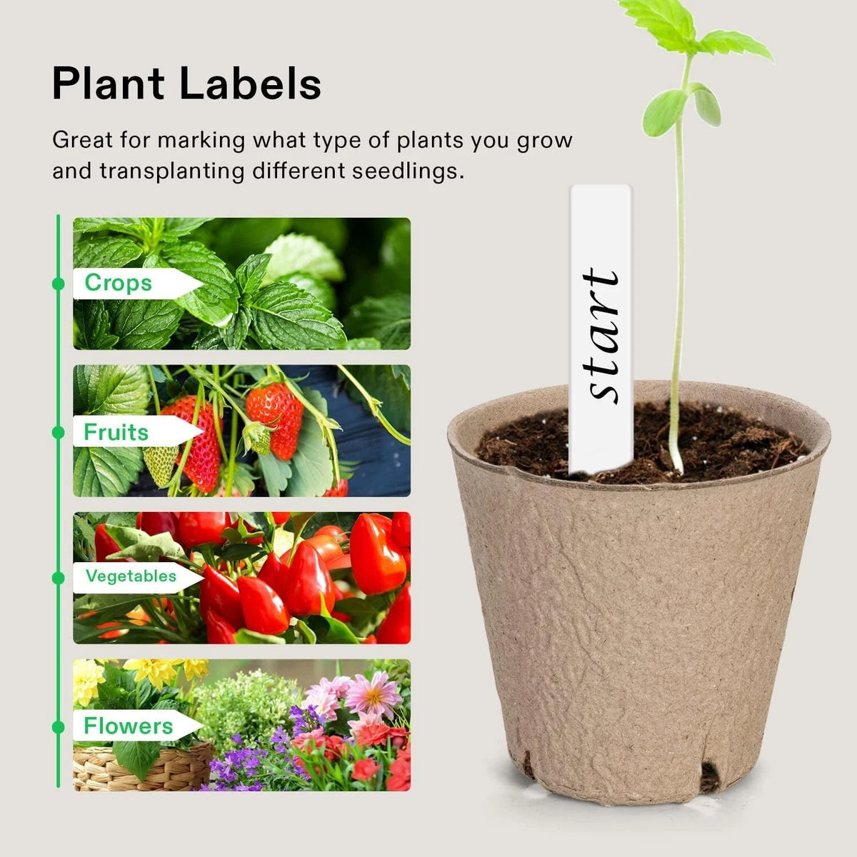 Plant labels with images of crops, fruits, vegetables, and flowers, next to a potted plant with a label.