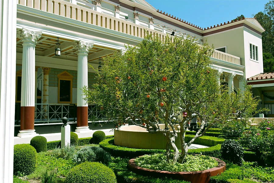 Garden with a large pomegranate tree and classical building in the background