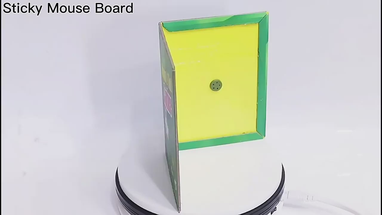 sticky mouse trap instructional demonstration video
