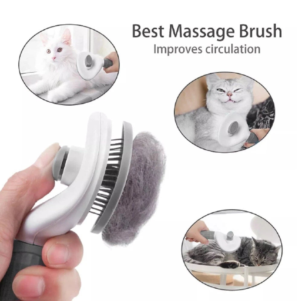 Cat massage self cleaning pet grooming brush with images of cats and text 'Best Massage Brush Improves circulation' on a white background.