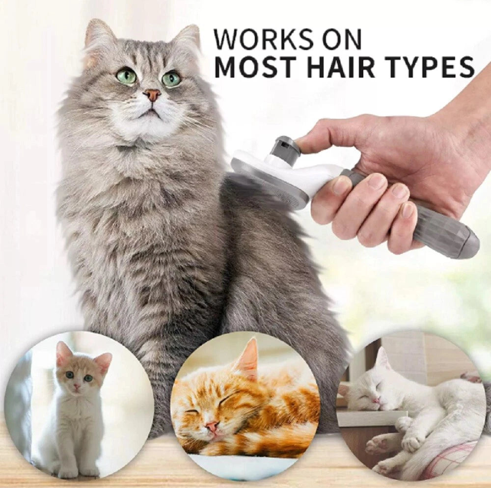 Cat being groomed with a self cleaning pet grooming brush, surrounded by images of different cats, on a light background.