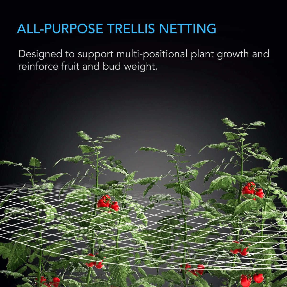 All-purpose trellis netting supporting tomato plants with text on a dark background