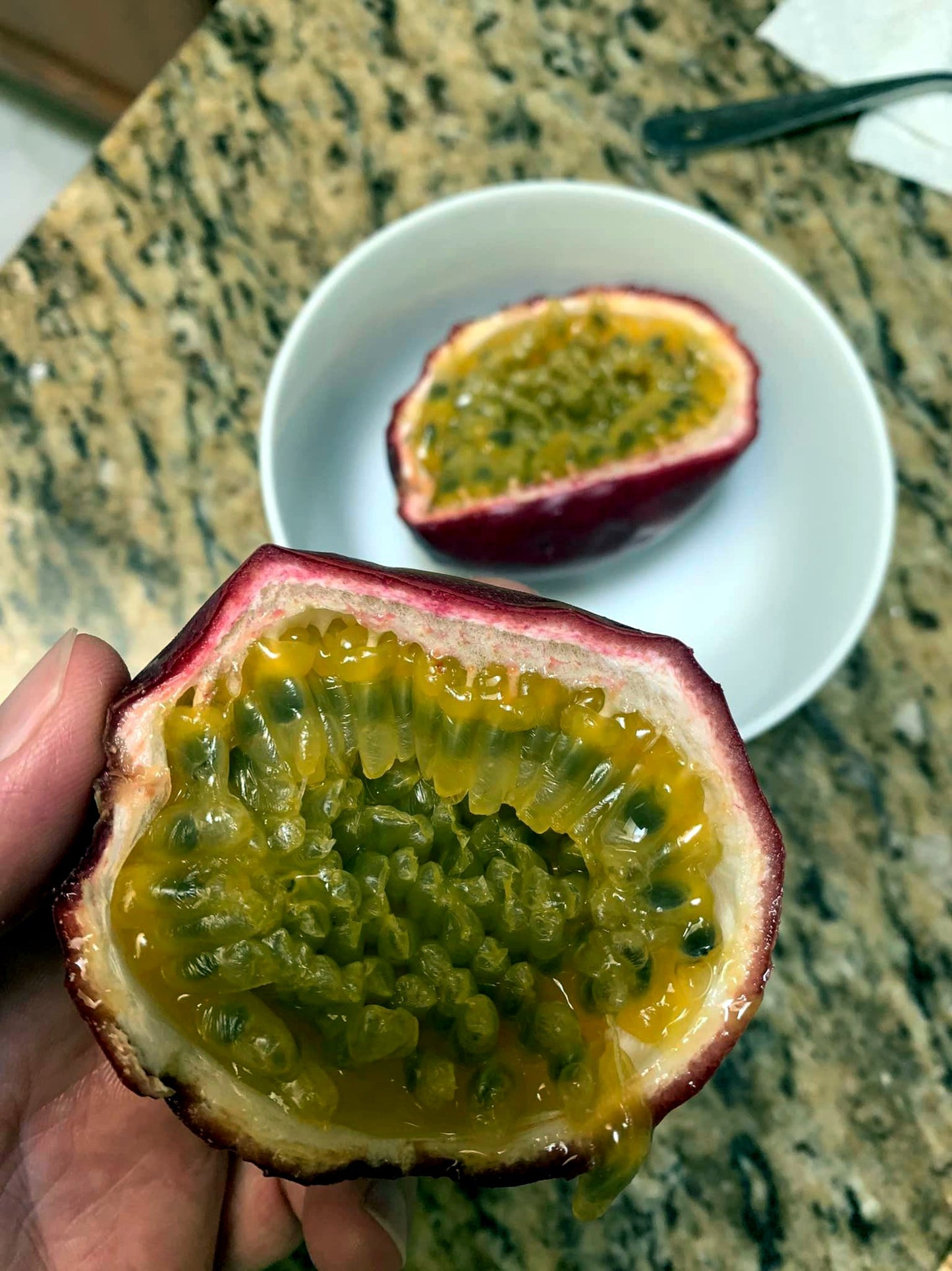 Cross section view of Purple passionfruit but in half with granite counter background.