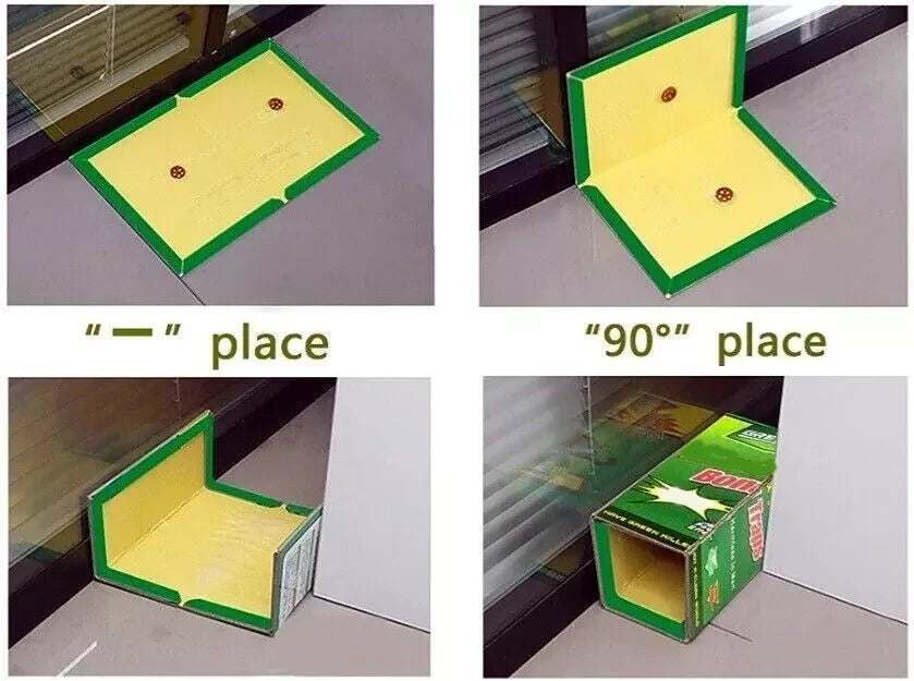 Instructions on how to place a sticky mouse trap in 4 different ways and positions.