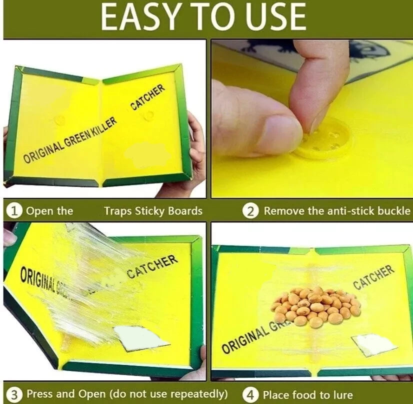 Instructions for using a sticky board trap to catch pests.