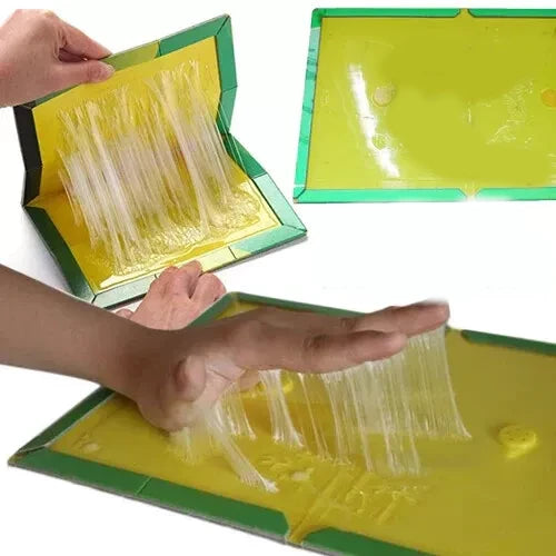 Hands showing how strongly adhesive with glue on sticky mouse traps 