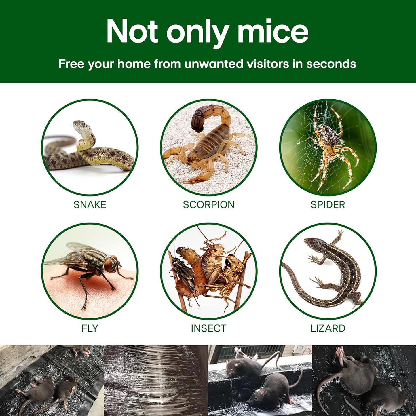 Advertisement showing various pests including snakes, scorpions, spiders, flies, insects, and lizards with the text 'Not only mice. Free your home from unwanted visitors in seconds.