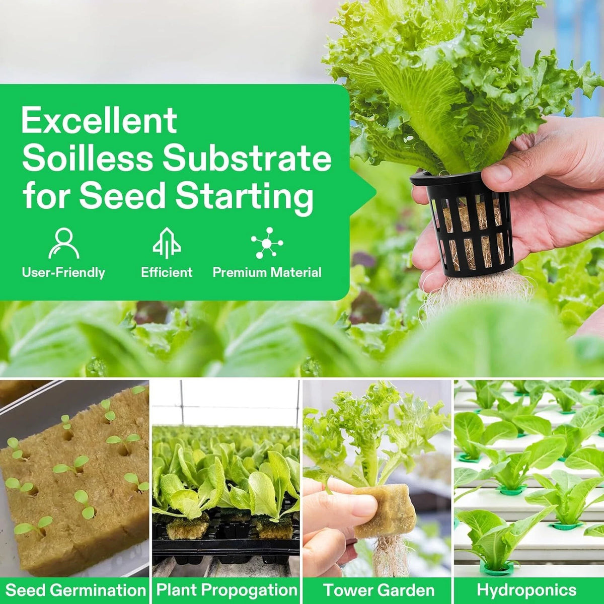 Collage of seed starting and plant propagation with with rockwool cubes and text on soilless substrate