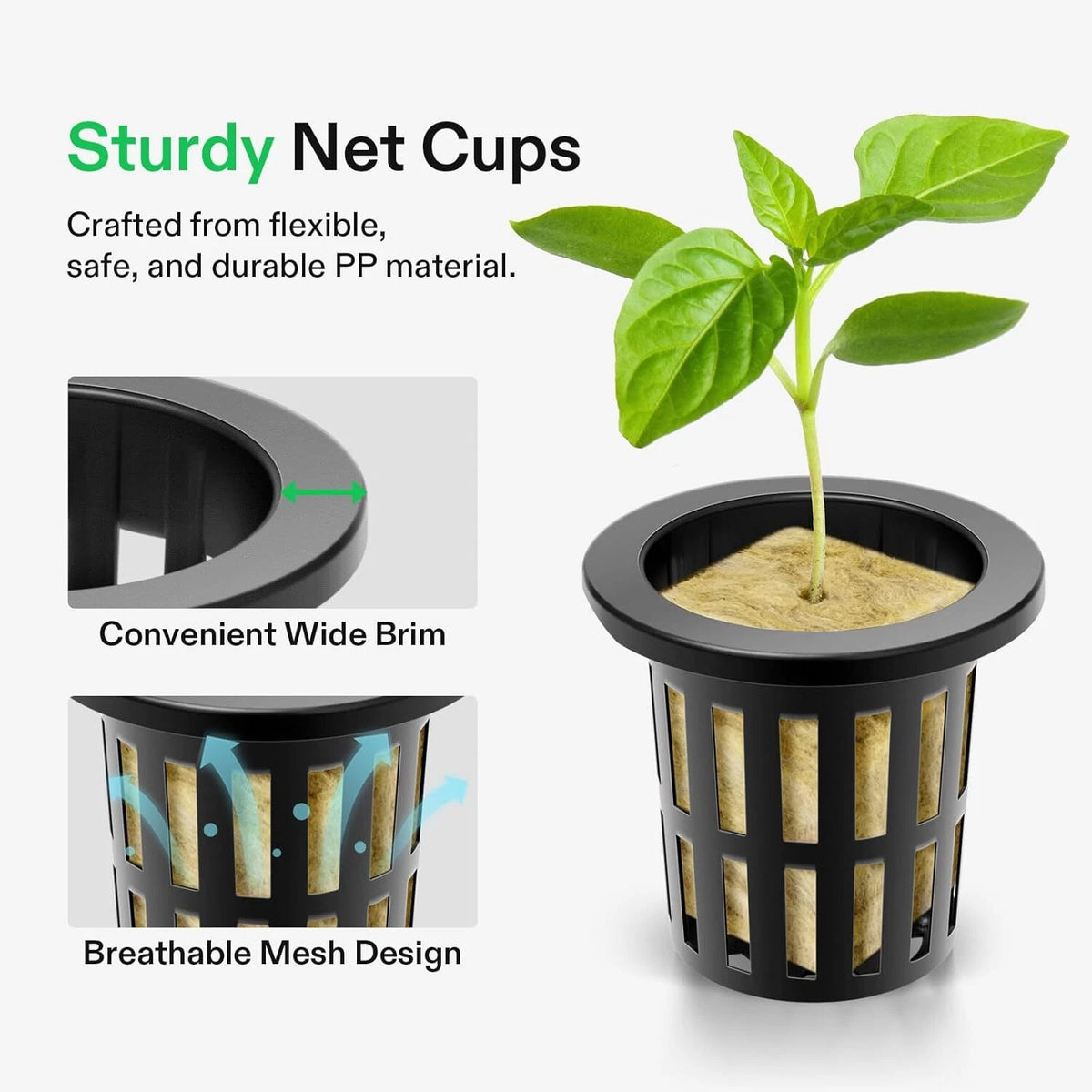 Sturdy net cup with rockwool cube growing a plant, highlighting features like wide brim and breathable mesh design.