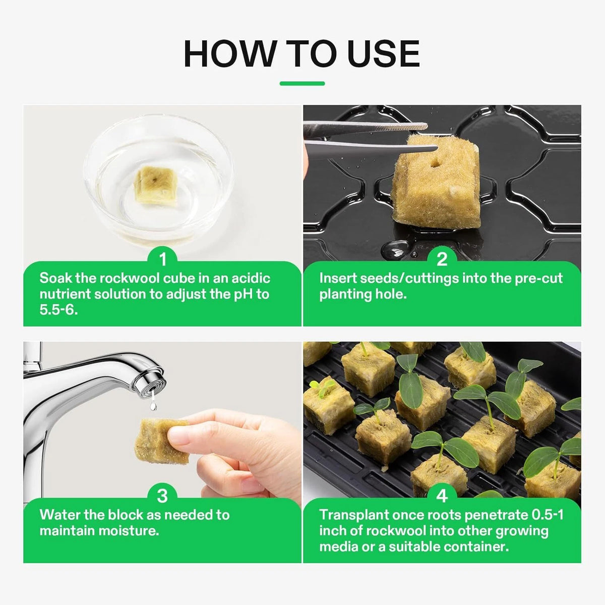 Step-by-step guide on how to use rockwool cubes for plant propagation.