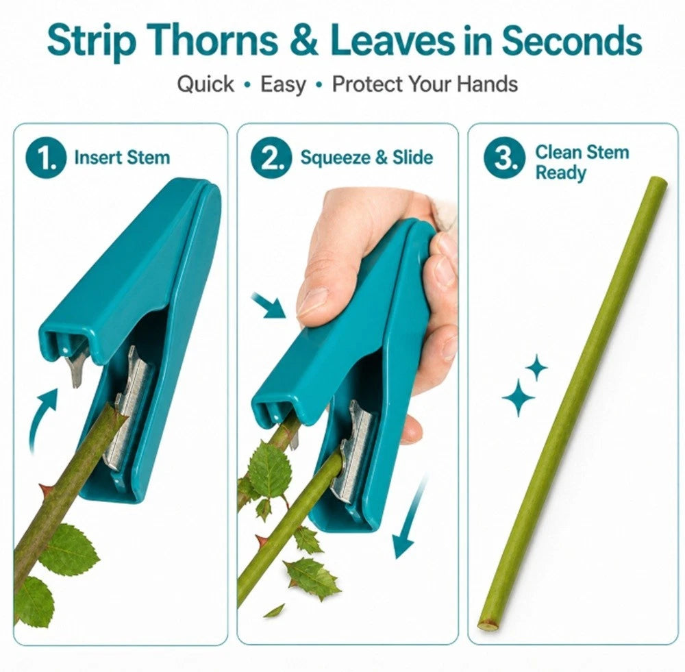 Instructional graphic showing a teal stem thorn remover in three steps: insert stem, squeeze and slide, and clean stem ready. A hand is visible in step 2.