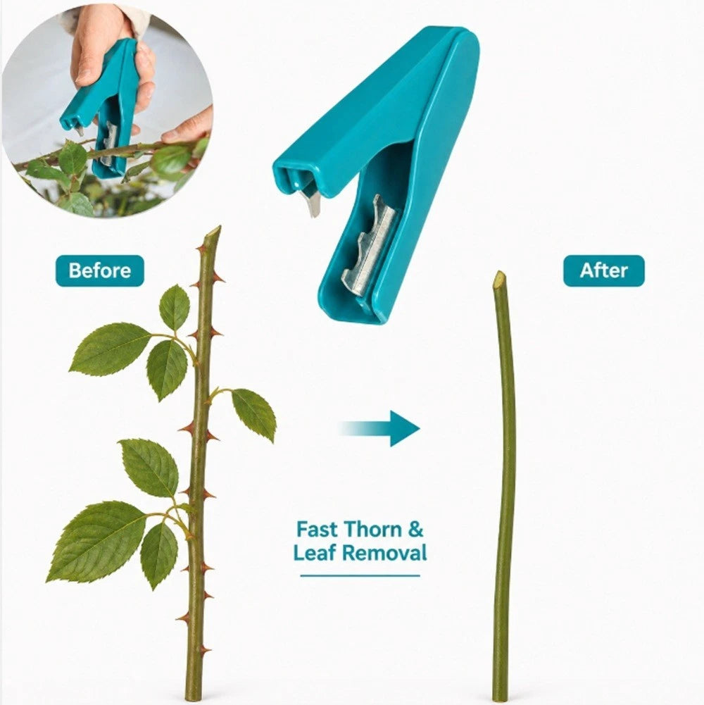 Teal thorn and leaf remover tool shown with a before-and-after demonstration on a rose stem, plus a small circular inset of hands using the tool outdoors.