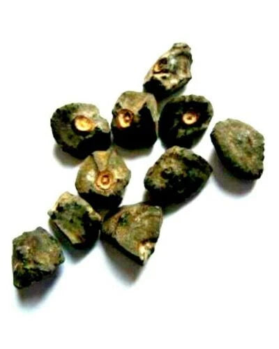 Collection of small, dark banana tree seeds on a white background