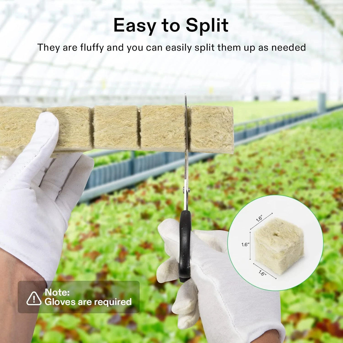 A pair of white-gloved hands holds a rectangular rockwool cube product in front of a greenhouse background, with a scissors graphic and text reading 'Easy to Split.' A circular inset shows the fiber block dimensions as 16" by 14" by 16".