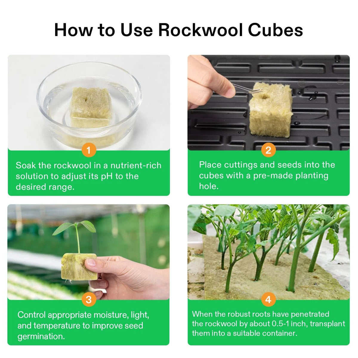Instructional graphic titled 'How to Use Rockwool Cubes' with four numbered panels showing steps: soaking a cube in a nutrient solution, placing a cutting into a planting hole, controlling moisture and light for germination, and transplanting a grown plant into a rockwool cube container.