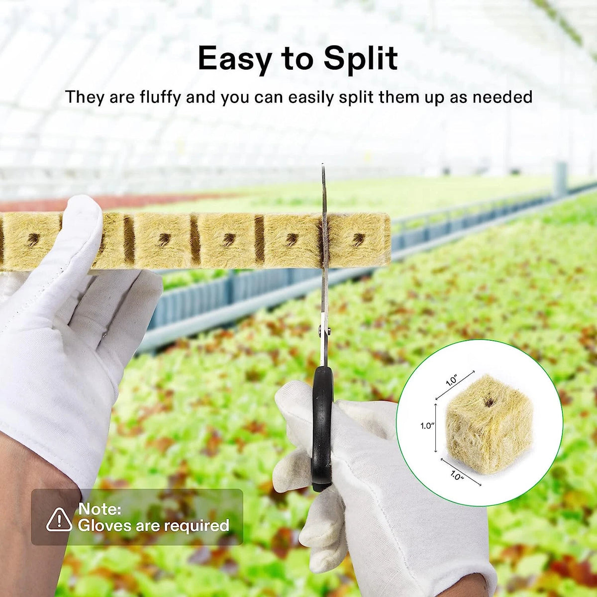 Person cutting rockwool cubes with scissors, wearing gloves, with text indicating ease of cutting.