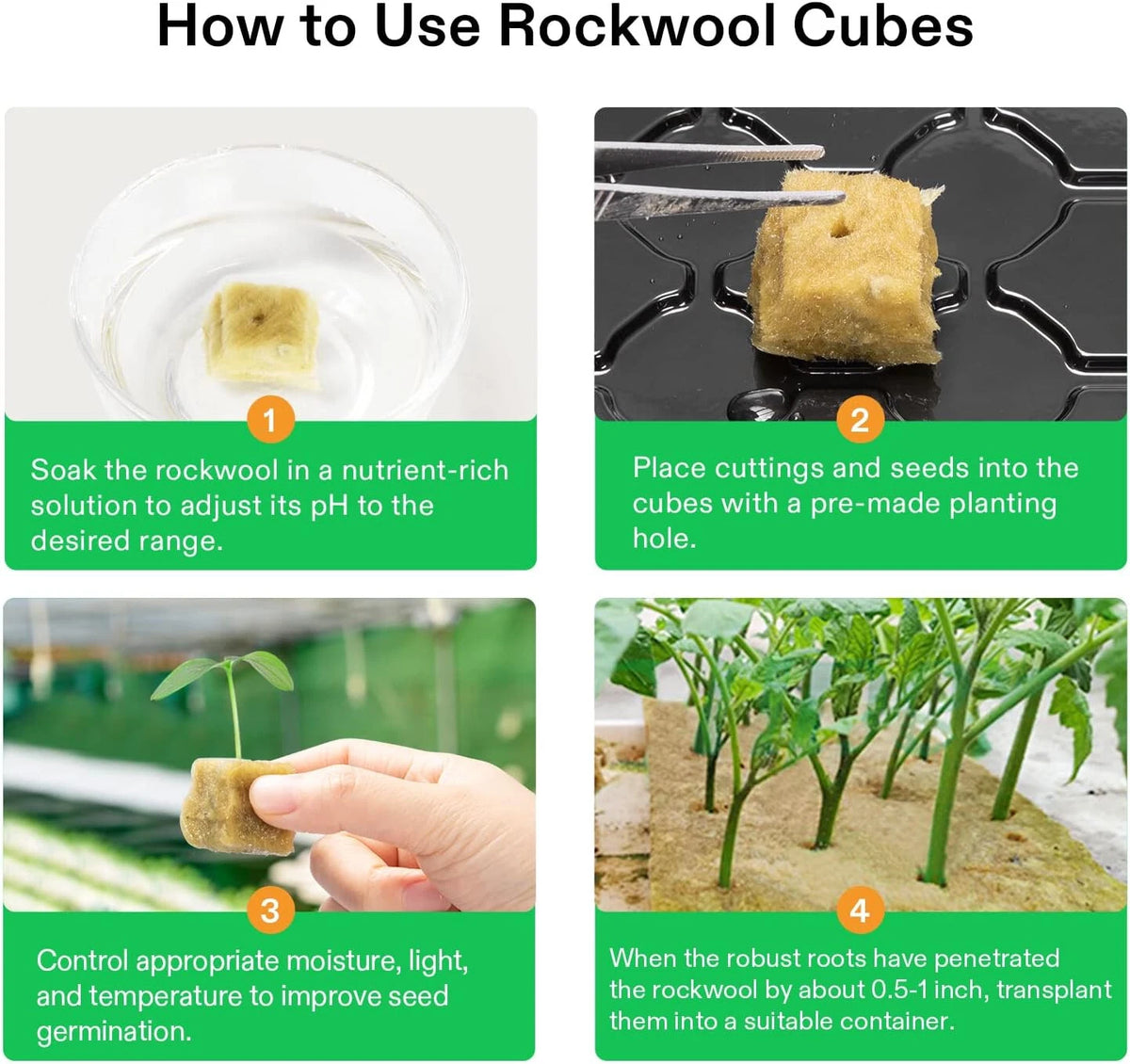An instructional graphic titled 'How to Use Rockwool Cubes' showing four numbered steps: soaking the cube in a nutrient solution, placing it into a planting hole, controlling moisture and temperature for germination, and transplanting a rooted cube into a container.