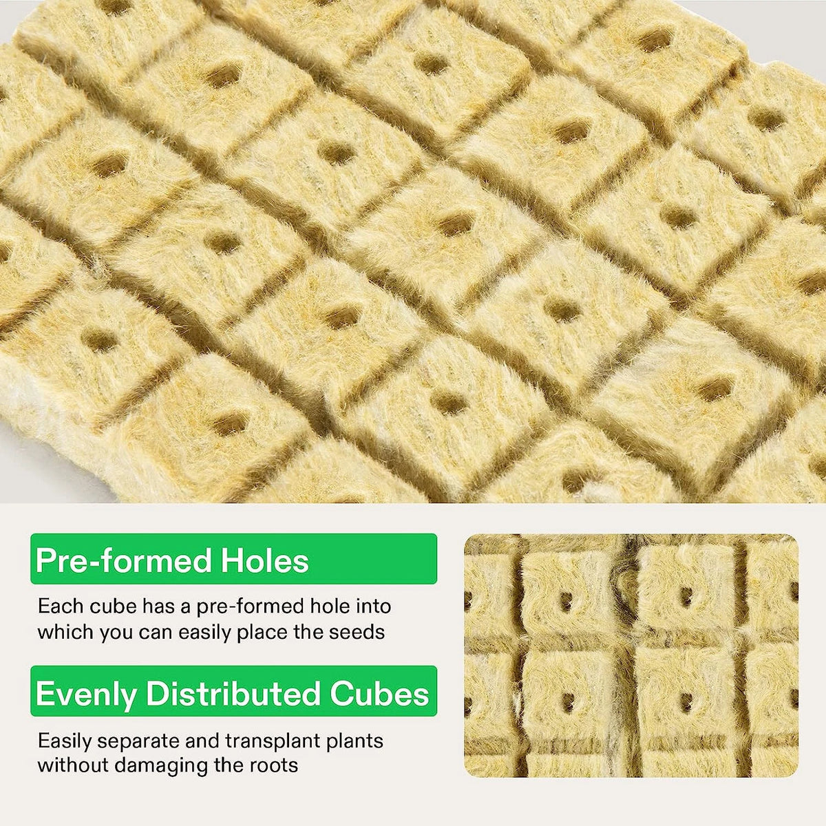 A close-up of a sheet of beige fibrous seed-starting rockwool cubes arranged in a grid, with text callouts explaining pre-formed holes and evenly distributed cubes. A small inset shows a magnified section of the cubes.