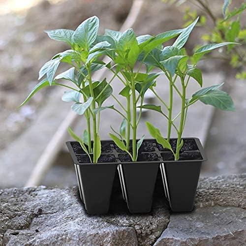 Seedling tray with young plants on a stone surface