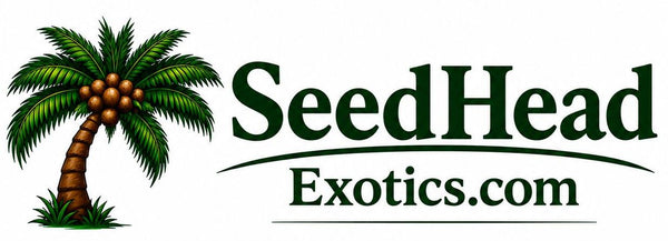 Seed Head Exotics