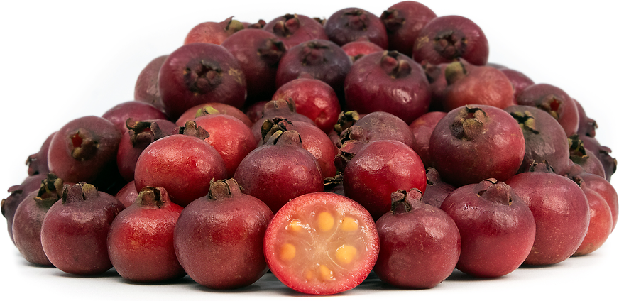 Red Strawberry Guava fruits with white background. (Psidium cattleianum)