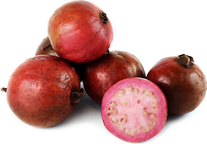 Red Strawberry Guava fruits with white background. (Psidium cattleianum)