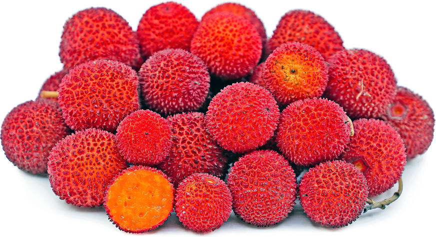 Red Strawberry tree fruits on white background. (Arbutus unedo)