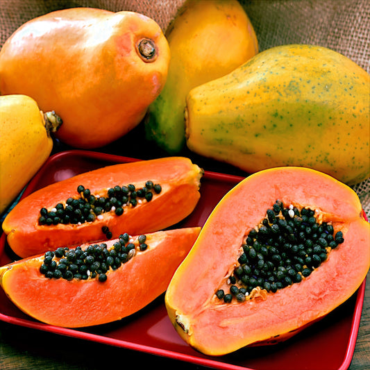 Dwarf Hawaiian Solo Sunrise Papayas on a red plate with one cut open to reveal seeds. Carica papaya
