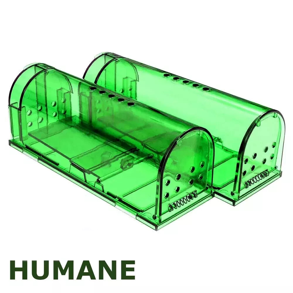 A green, transparent acrylic humane mouse trap designed for live catch and release.