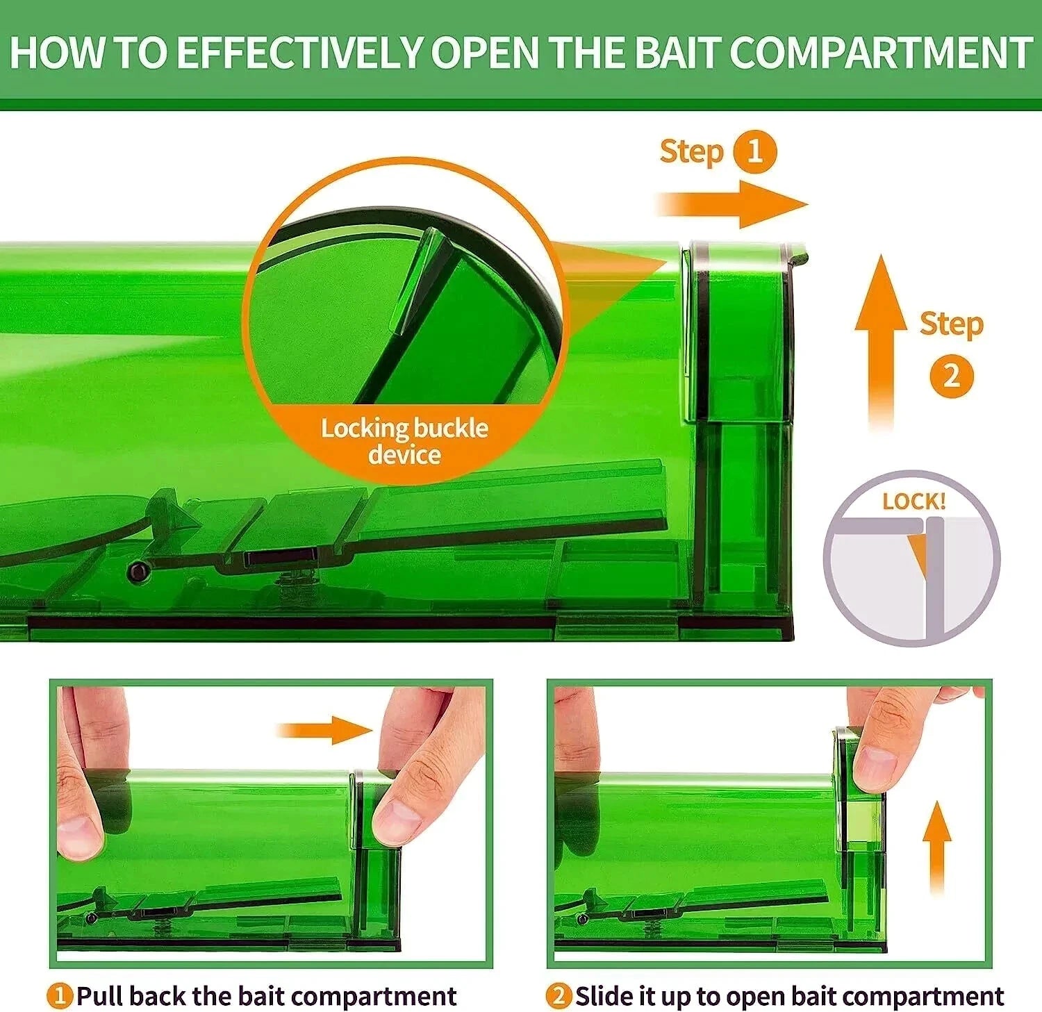 How to set live mouse trap instruction steps