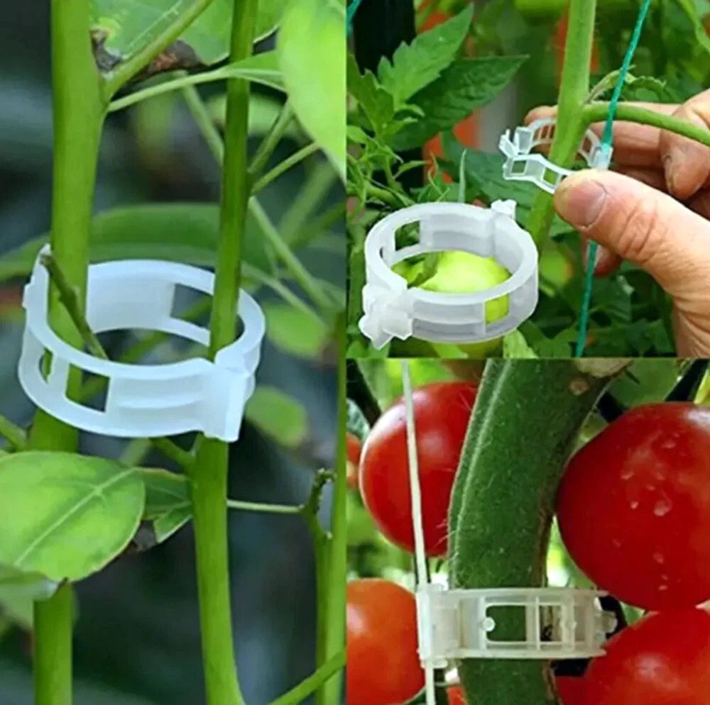 Collage of tomato cage plant clips being used on plants with tomatoes.