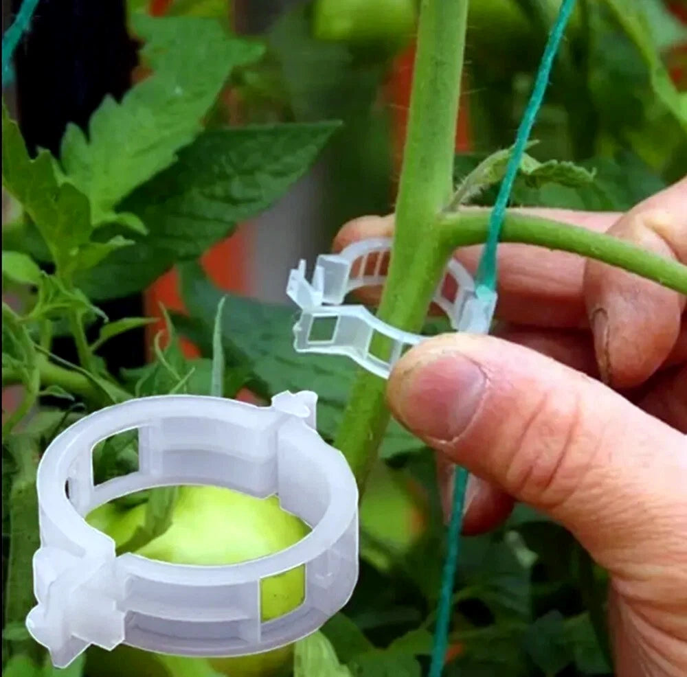 Hand using a plastic tomato cage plant clip on a plant with a close-up inset of the cage
