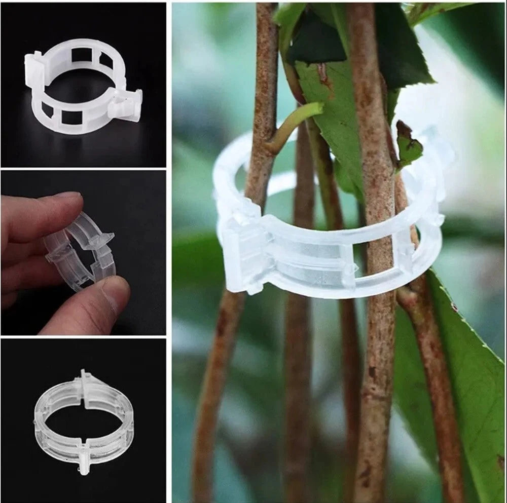 White plastic plant clip ring used for plant support on a branch with green leaves.