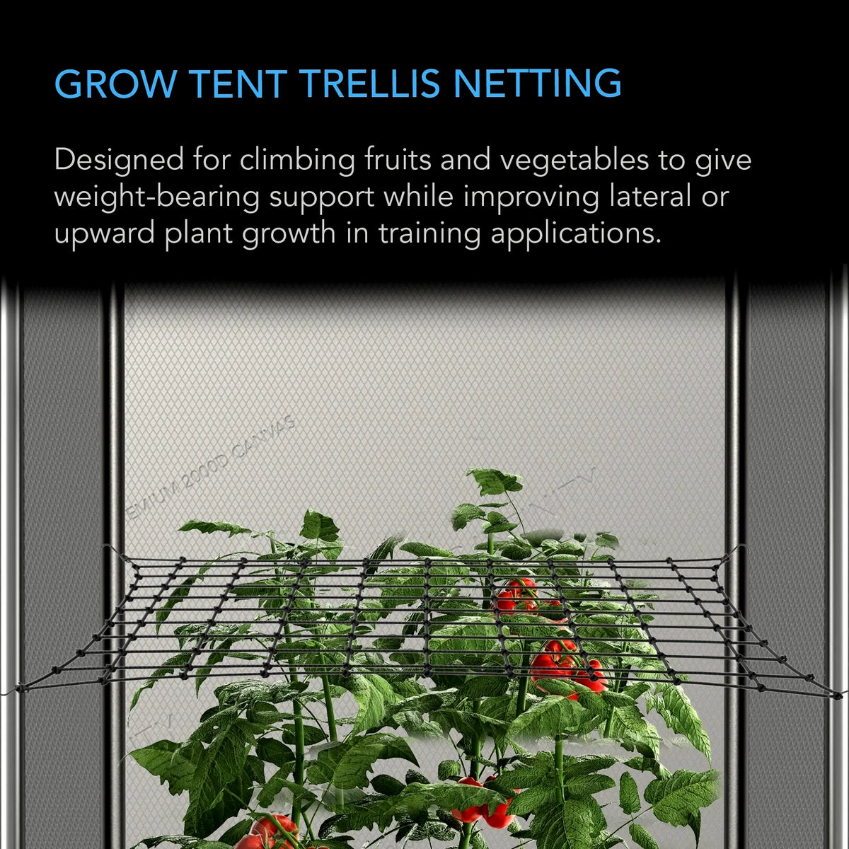 Black grow tent trellis netting shown supporting tomato plants inside a growing tent, with descriptive text at the top.