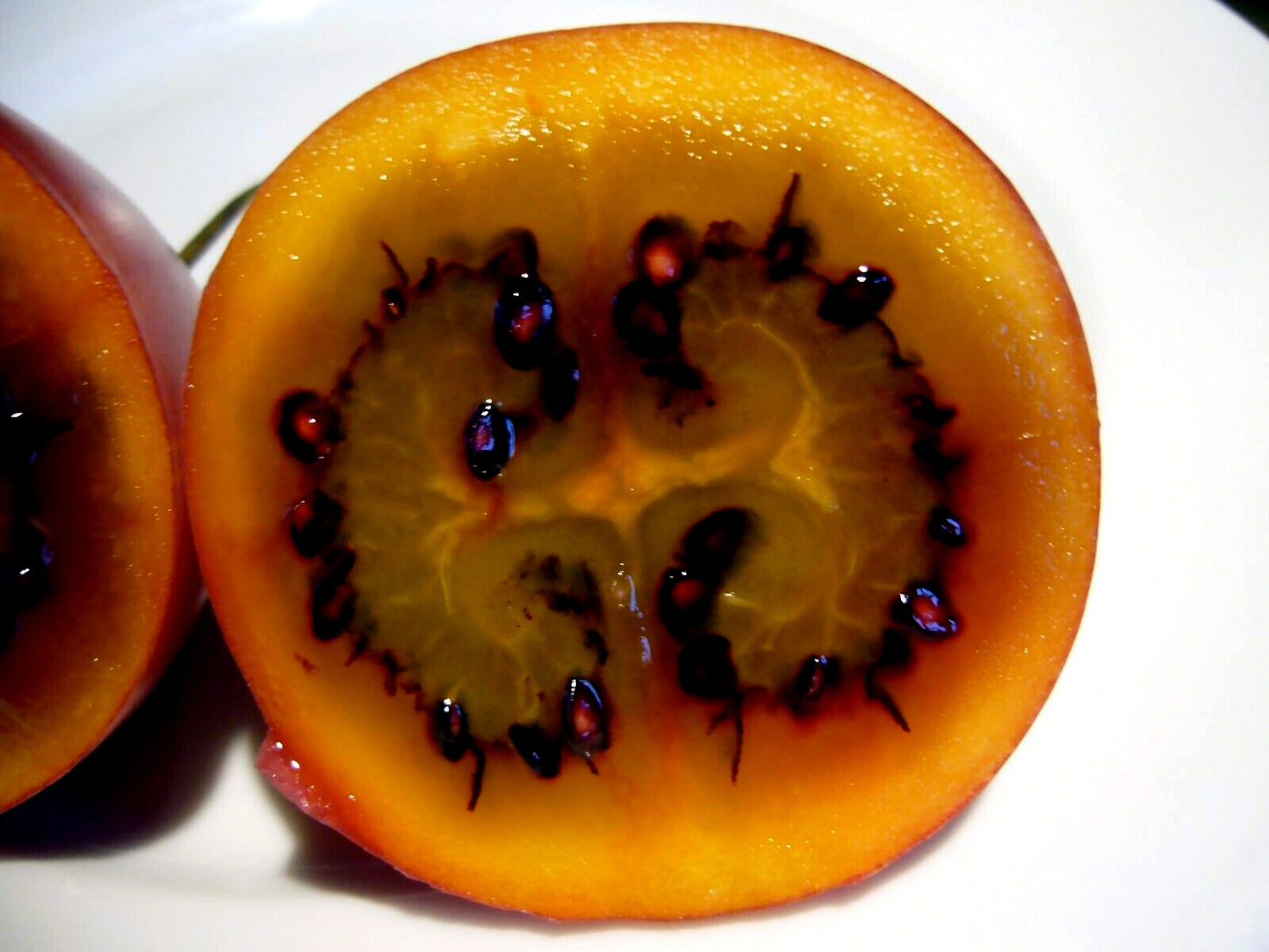 Halved Tamarillo tree tomato fruit with a unique pattern on a white background. Cyphomandra betacea