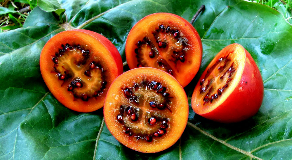 Sliced red tamarillo tree tomato fruit with brown seeds on green leaves. Cyphomandra betacea