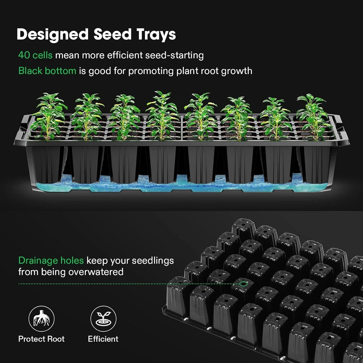 Seed trays with seedlings on a black background, highlighting features like efficient seed-starting and root growth promotion.