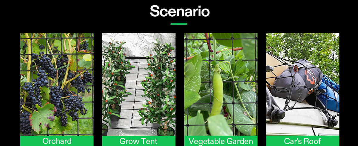 A promotional banner titled 'Scenario' showing four vertical panels with different outdoor and tent-growing setups using trellis net: an orchard with dark grape clusters, a grow tent with leafy green plants, a vegetable garden with a green pod, and a camping setup with a blue and gray backpack on a car roof