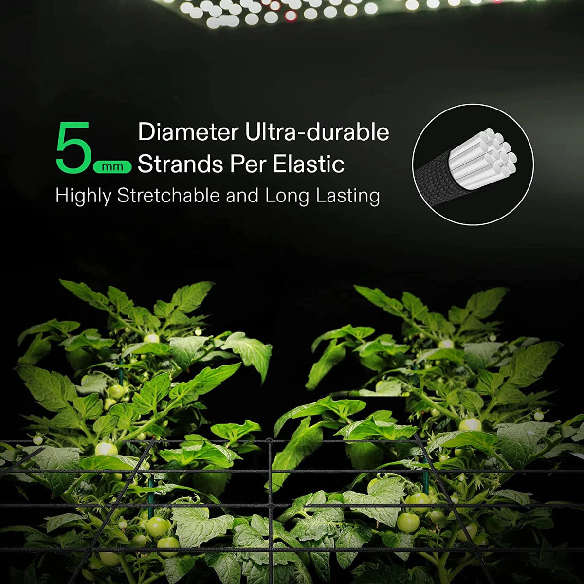 Greenhouse tomato plants growing under LED grow lights, with text highlighting 5 mm ultra-durable elastic strands per elastic in trellis netting and a circular inset showing the strand material.