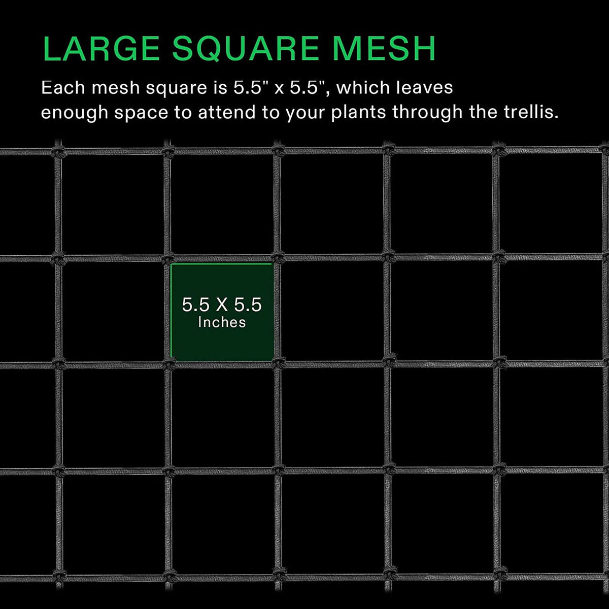 Black square trellis net with green text reading 'LARGE SQUARE MESH' and a central green square labeled '5.5 x 5.