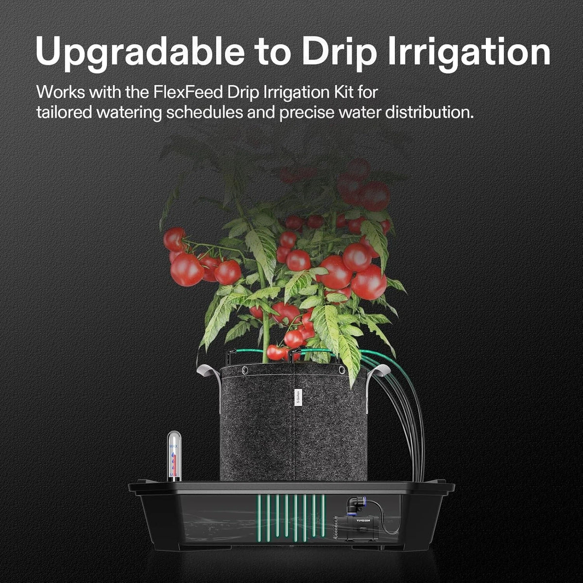 VIVOSUN automatic FlexFeed Self-Watering Irrigation Pot is upgradeable to drip irrigation by adding small pump in reservoir with tomato plant in fabric grow bag.