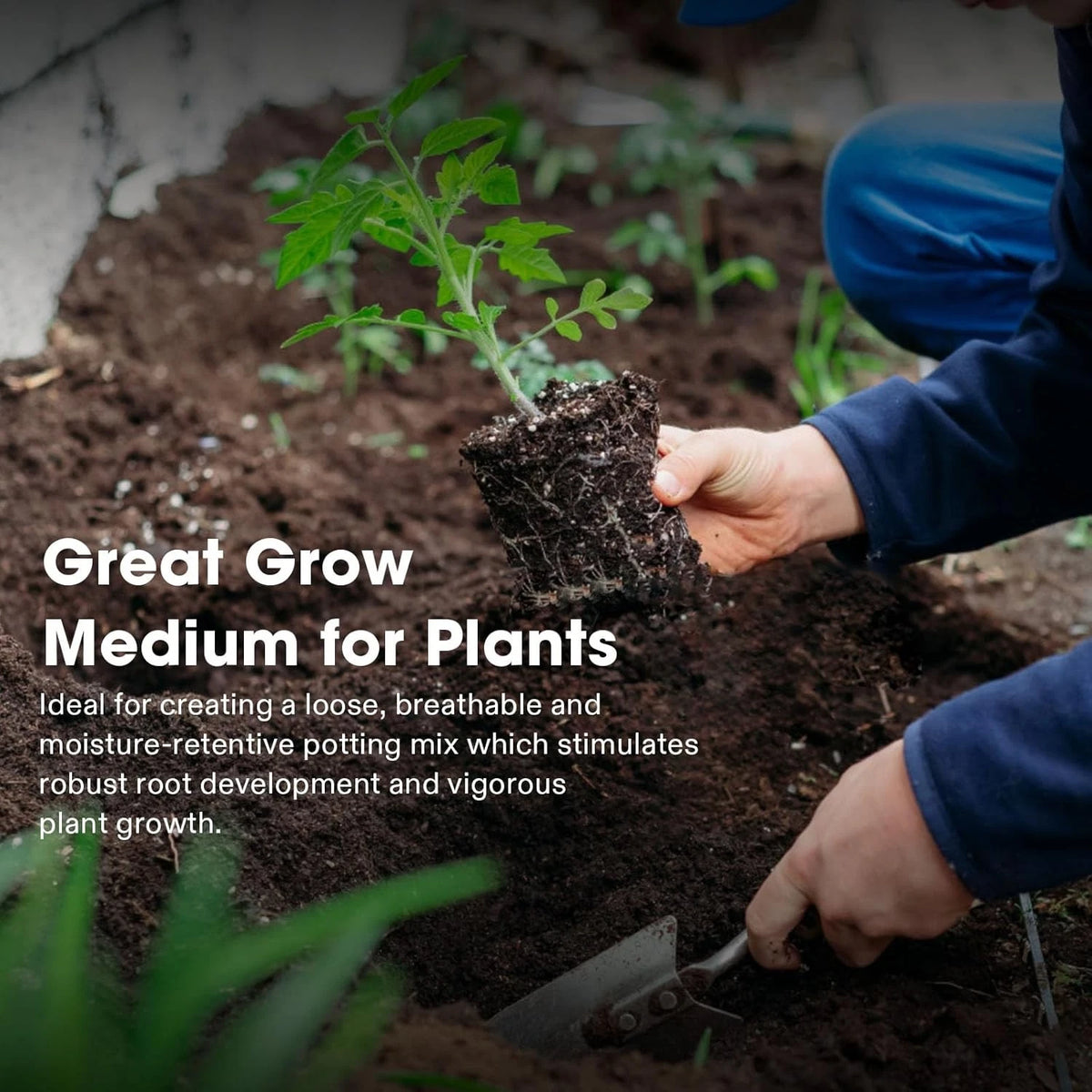 Person planting a small plant in soil and coco coir with text about Great Grow Medium for Plants.