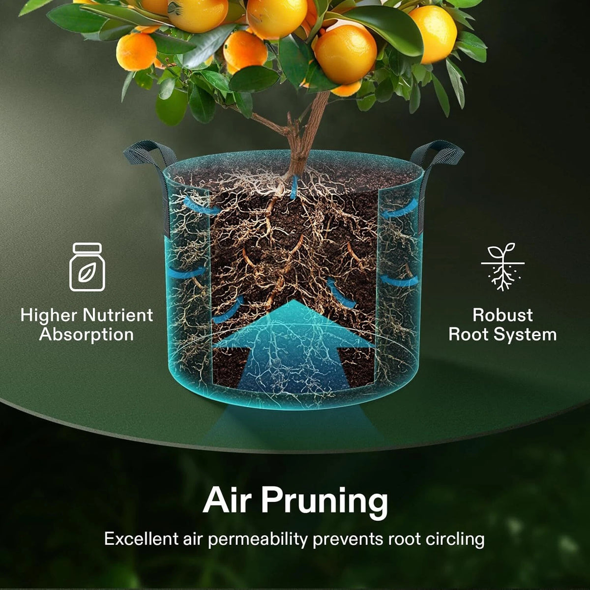 Illustration of a plant in a fabric nursery pot with roots shown, highlighting air pruning benefits.