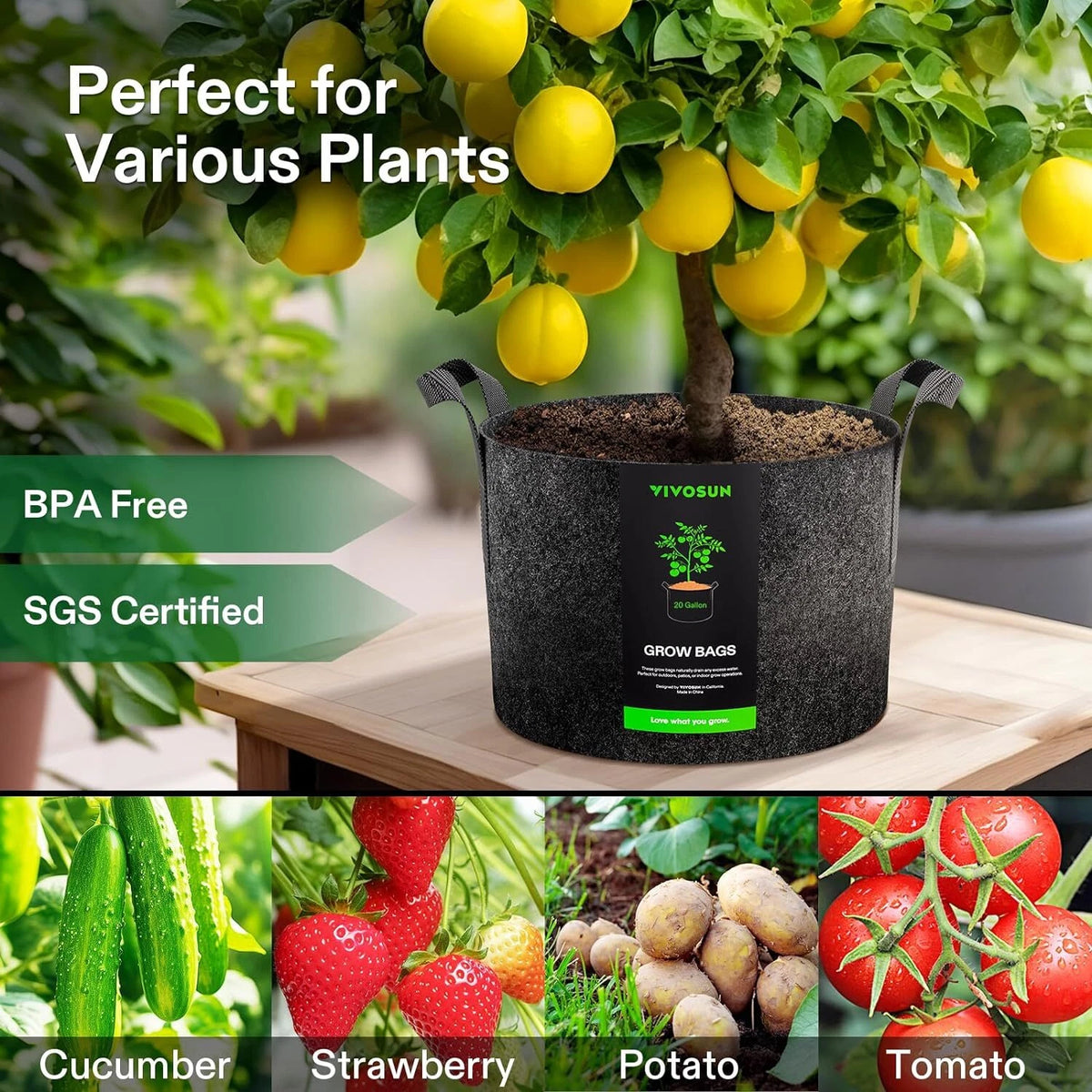 A black grow bag fabric grow bag with a green and white logo label, shown holding a lemon tree on a wooden table. The image includes marketing text reading 'Perfect for Various Plants,' 'BPA Free,' and 'SGS Certified,' plus a bottom strip showing crops that grow in such bags: cucumber, strawberry, potato, and tomato.