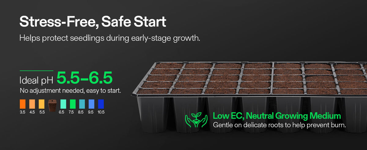 A black plastic seed starter tray filled with brown seed starting plugs, shown on a dark background with marketing text about stress-free seedling protection, ideal pH 5.5-6.